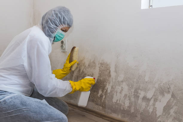Best Industrial Mold Remediation in Lyons, WI